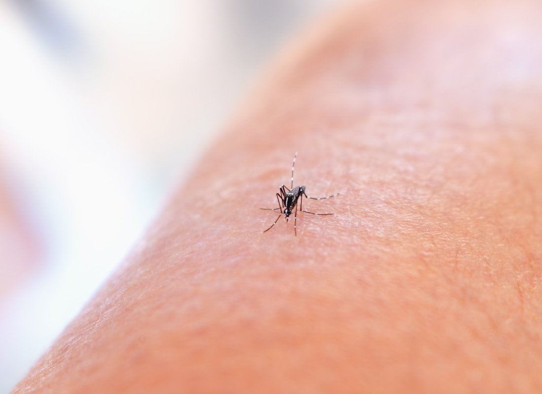Malaria i komary - Angola