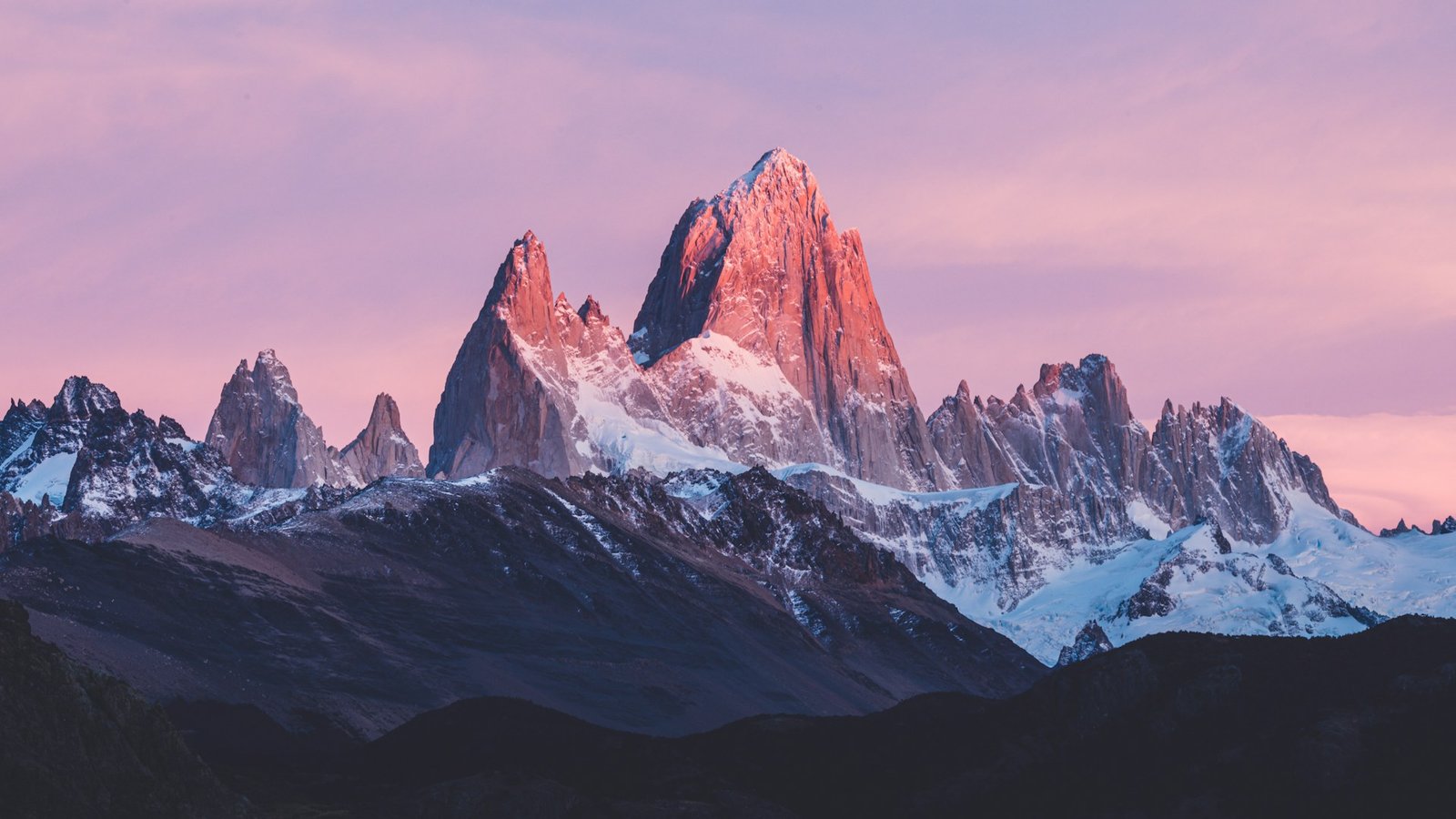 Szczepienia do Argentyny