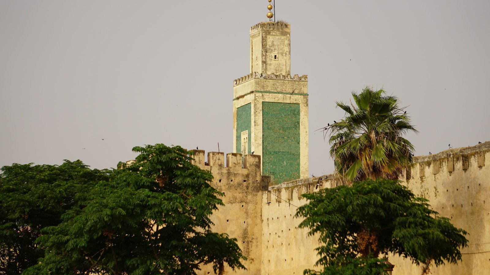Szczepienia do Burkina Faso