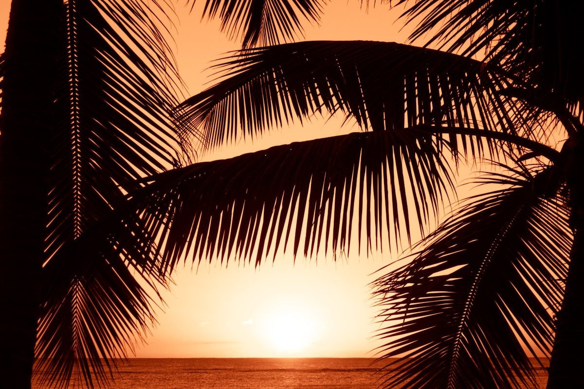 Słońce i plaża - Gambia