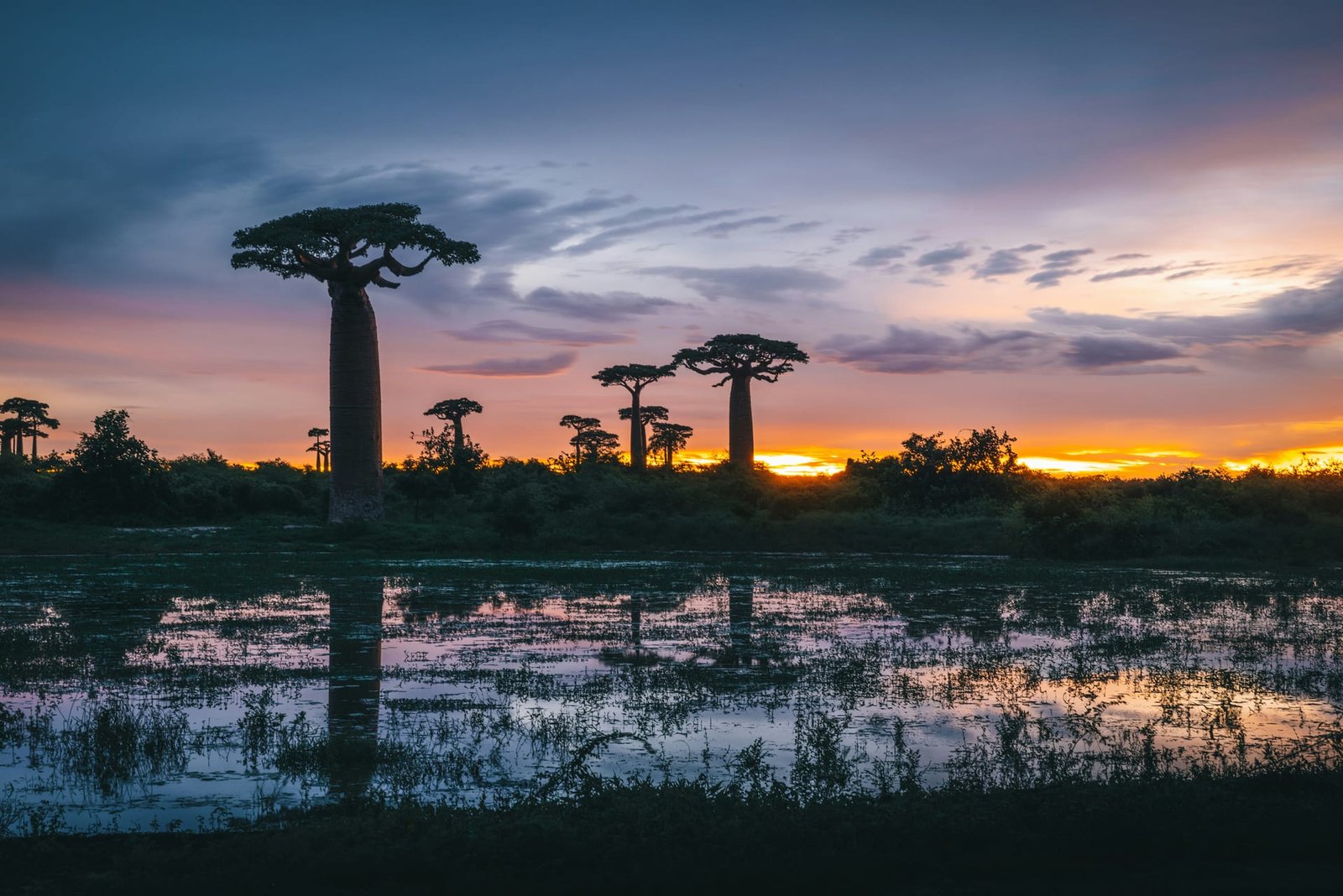 Szczepienia na Madagaskar