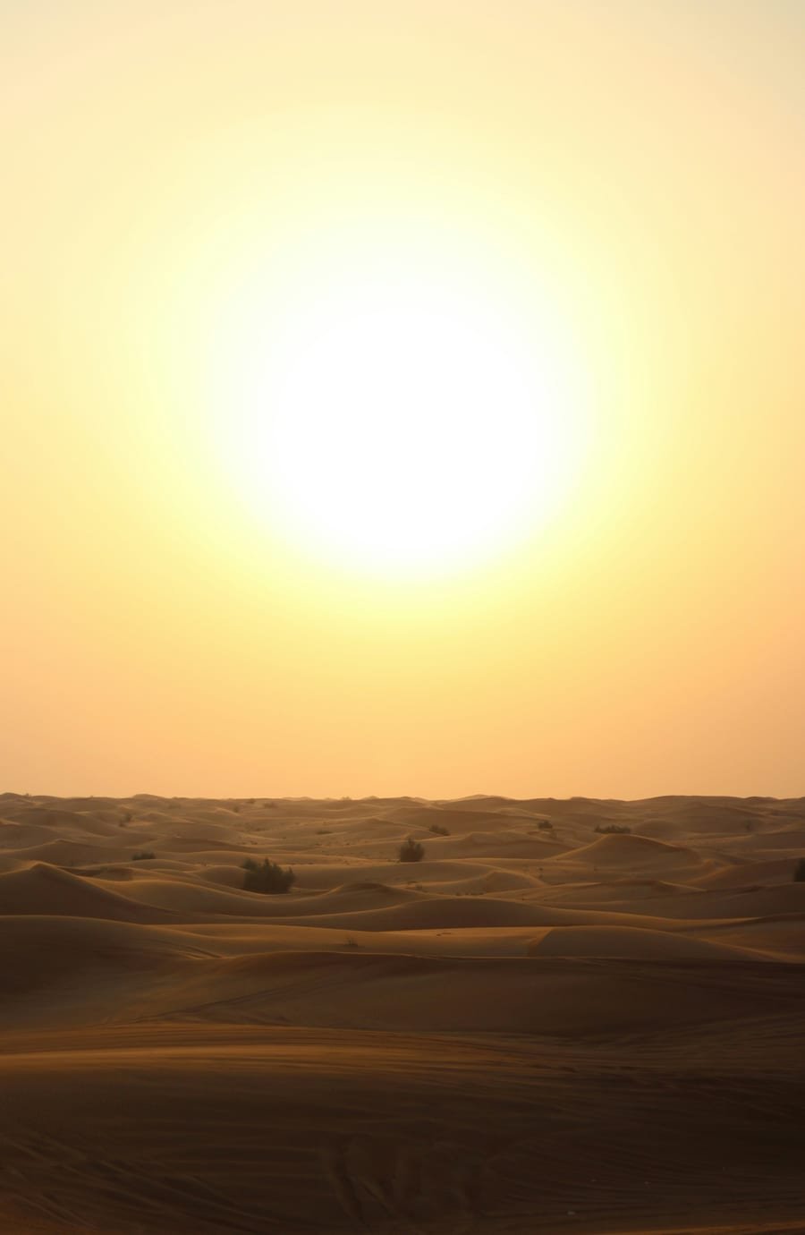 Upał, słońce i pustynia - Zjednoczone Emiraty Arabskie